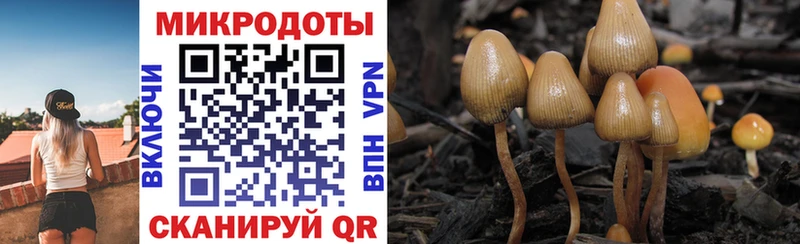 Псилоцибиновые грибы прущие грибы  даркнет телеграм  Юрга 